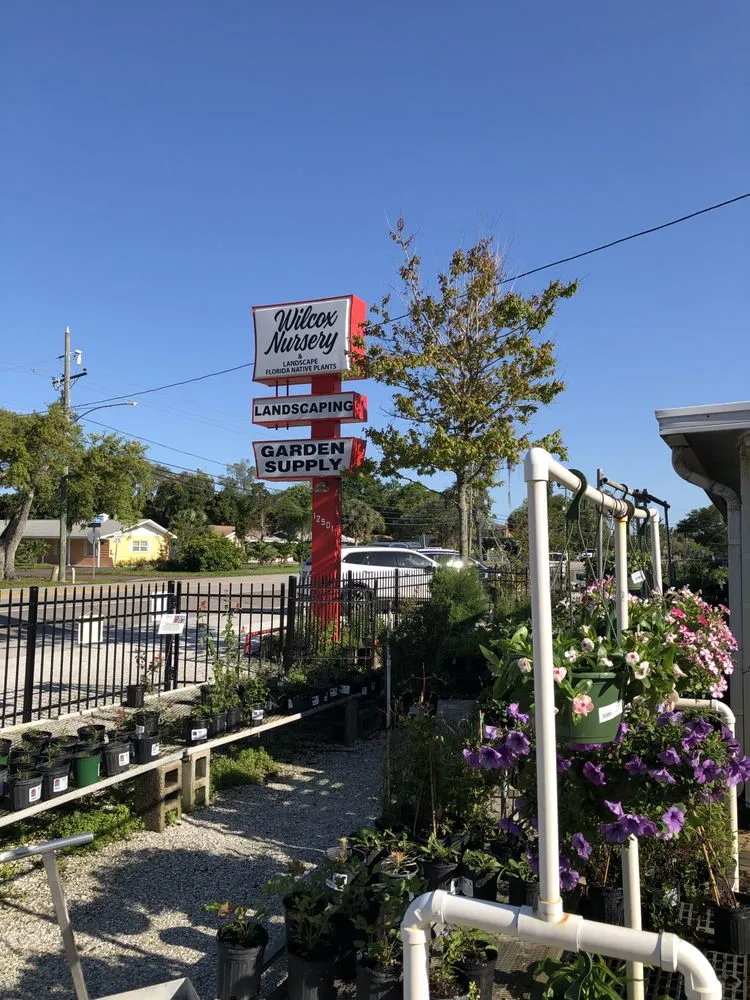 Professional yard cleanup service experts serving Largo, FL - Wilcox Nursery and Landscape