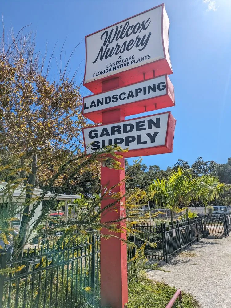Reliable yard maintenance in Largo, FL by Wilcox Nursery and Landscape
