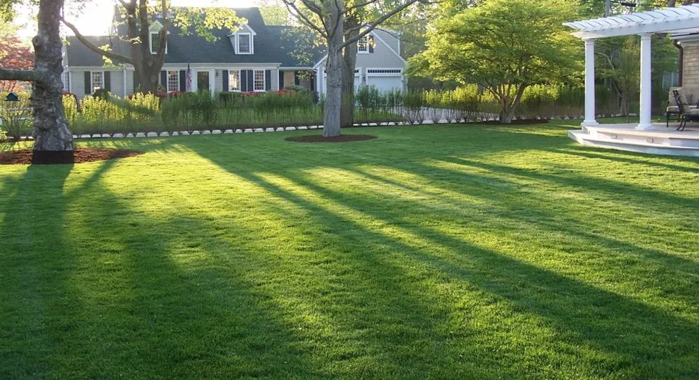 Top-rated landscape installation in Freeport, MI - Wilcox Plowing & Lawn Care
