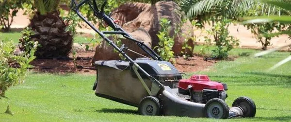 Wilcox Plowing & Lawn Care