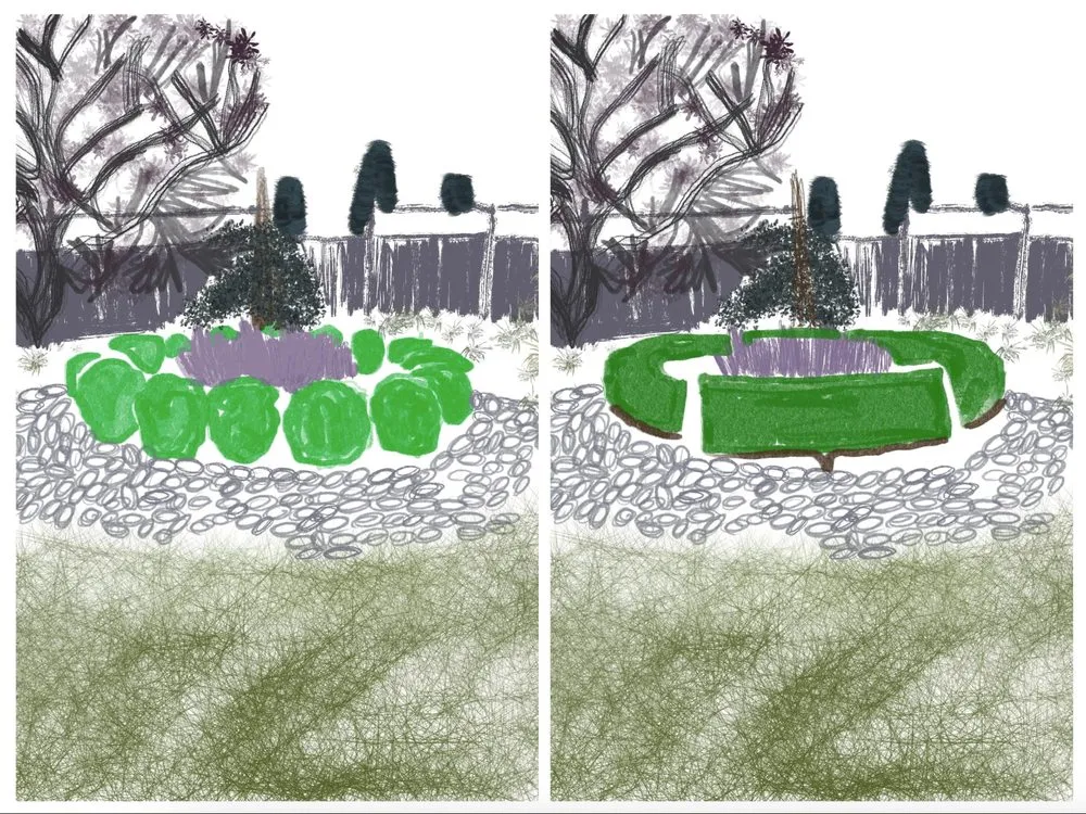 Custom lawn care service experts serving Seattle, WA - Wild And Tended