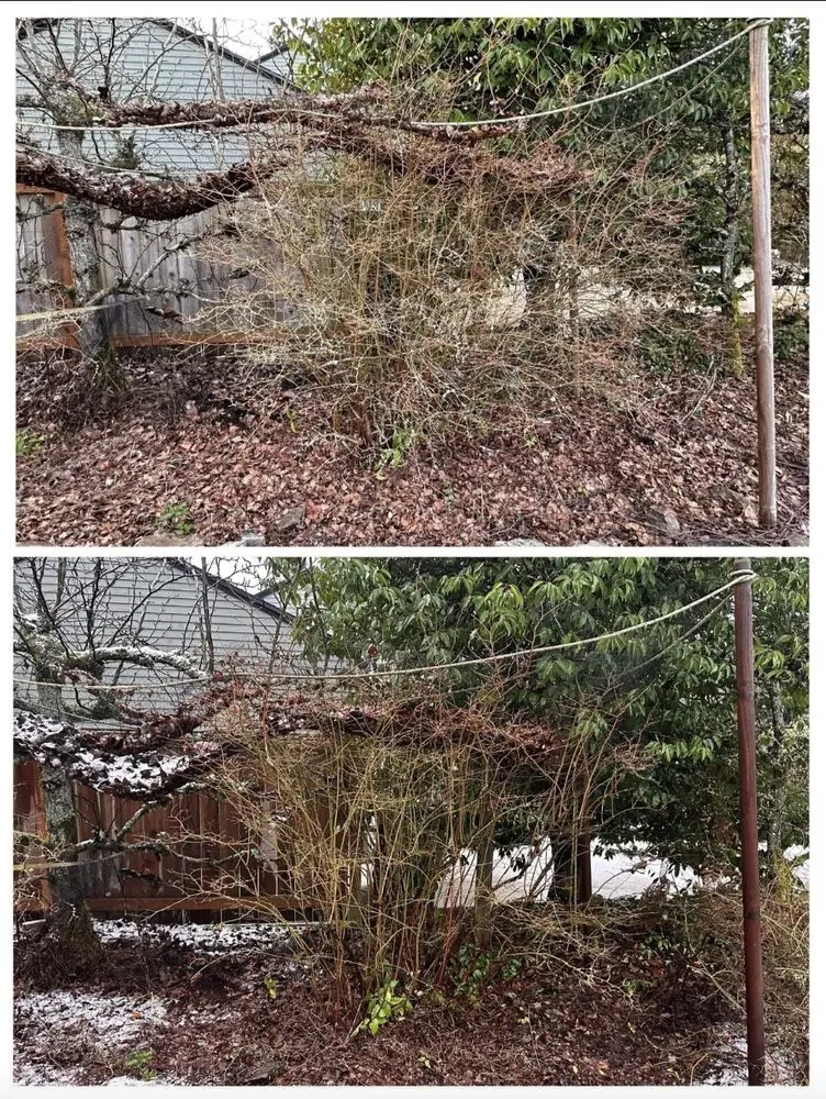 Professional landscaping services in Seattle, WA by Wild And Tended