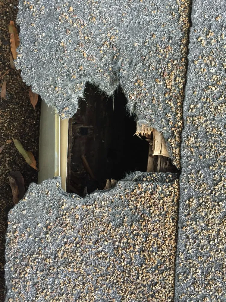 Expert landscape design in Altamonte Springs, FL - Wild Animal Pest Control Orlando