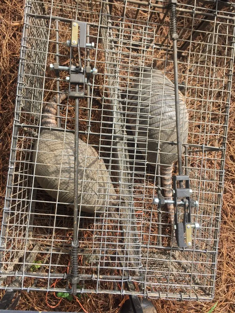 Custom lawn care service experts serving Altamonte Springs, FL - Wild Animal Pest Control Orlando