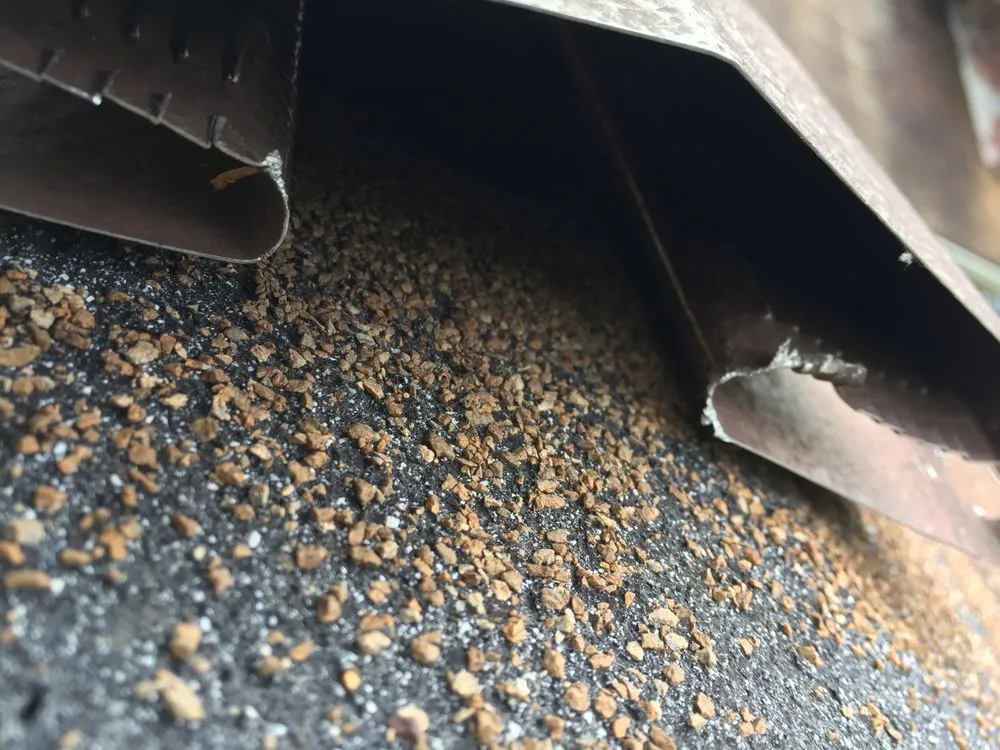 Affordable garden landscaping for residential properties in Altamonte Springs, FL by Wild Animal Pest Control Orlando