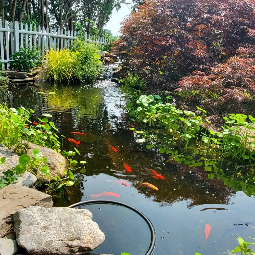 Local yard cleanup service near you across Old Saybrook, CT - Wild As Ever Garden Design