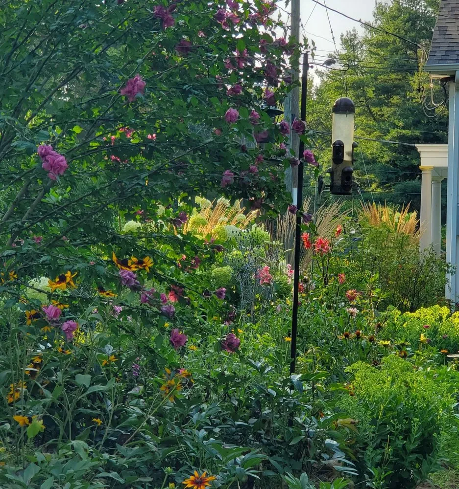 Professional lawn care service experts serving Old Saybrook, CT - Wild As Ever Garden Design