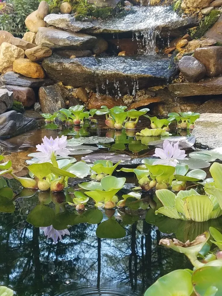 Expert residential landscaping in Old Saybrook, CT by Wild As Ever Garden Design