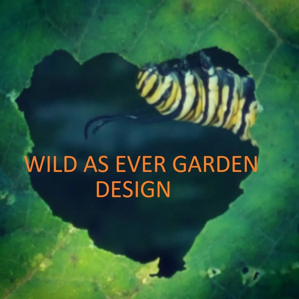 Local outdoor landscaping in Old Saybrook, CT by Wild As Ever Garden Design
