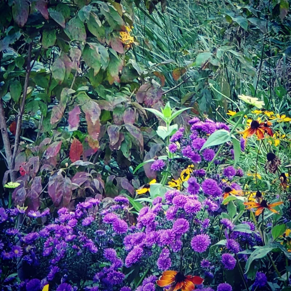 Reliable outdoor landscaping near you across Old Saybrook, CT - Wild As Ever Garden Design