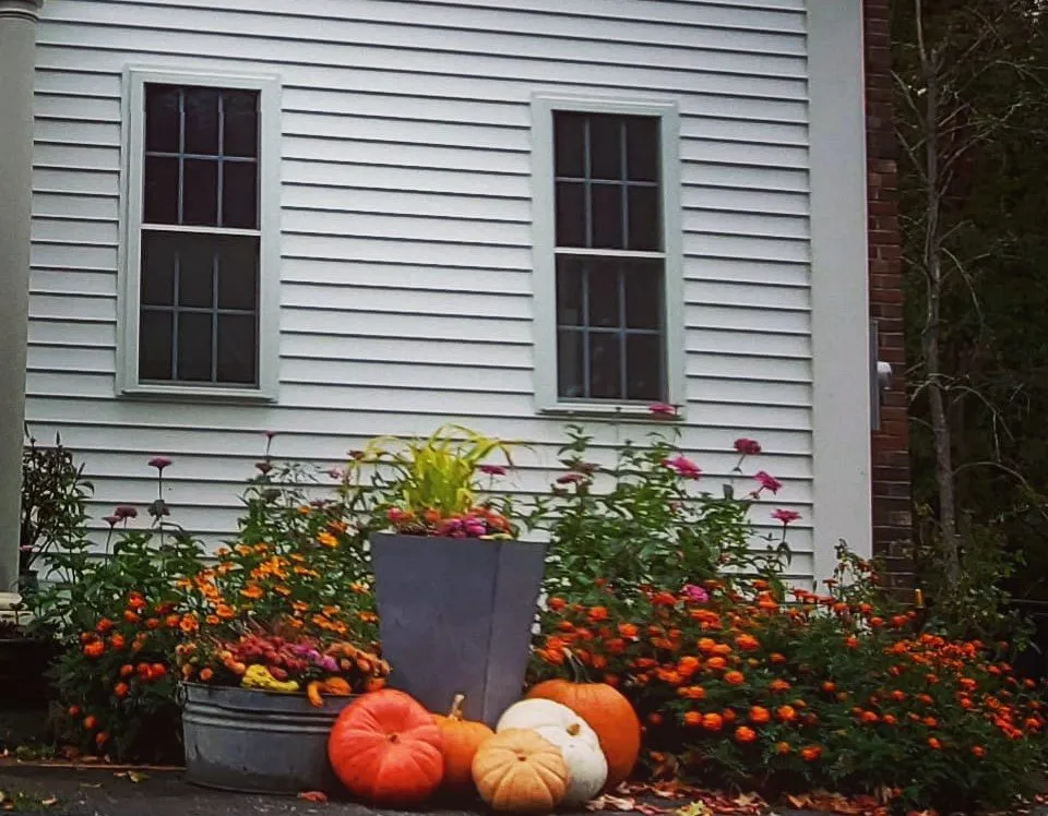 Top-rated lawn mowing service in Old Saybrook, CT - Wild As Ever Garden Design