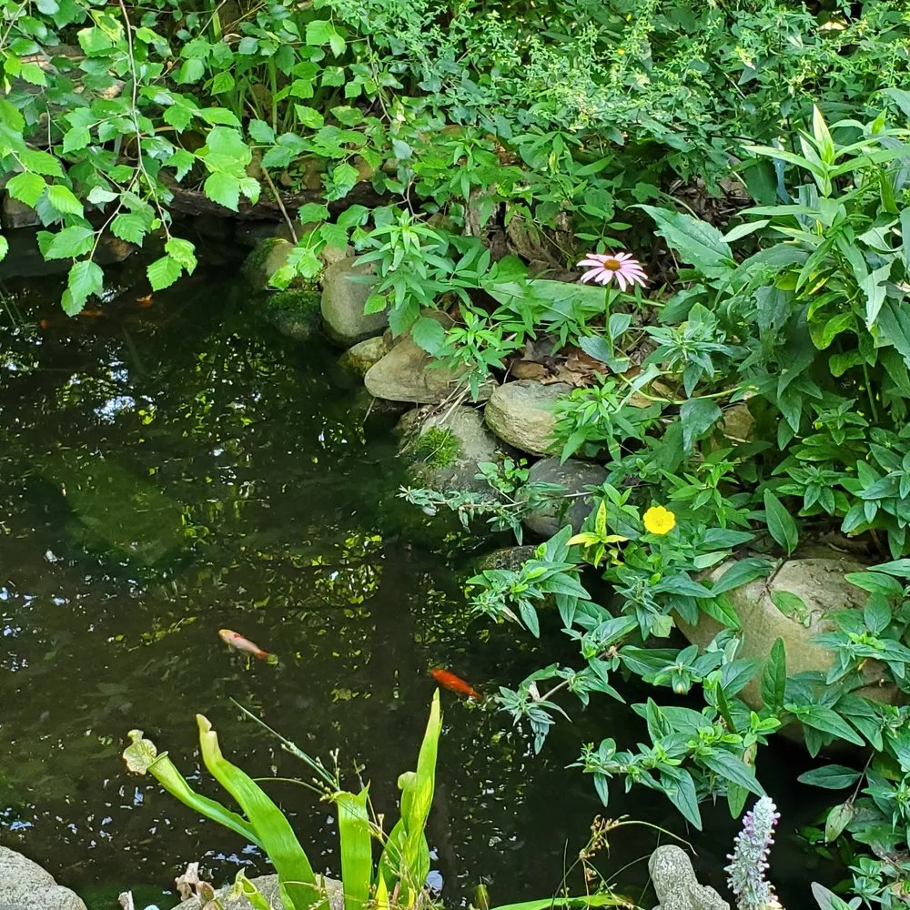 Professional landscape design in Old Saybrook, CT - Wild As Ever Garden Design