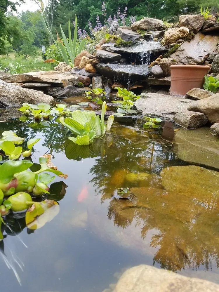 Reliable yard maintenance in Old Saybrook, CT - Wild As Ever Garden Design