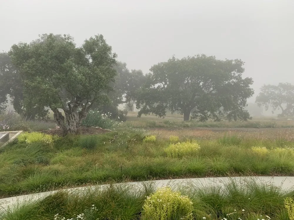 Top-rated garden landscaping for outdoor upgrades in Ojai, CA by Wild at Hart Nursery & Design