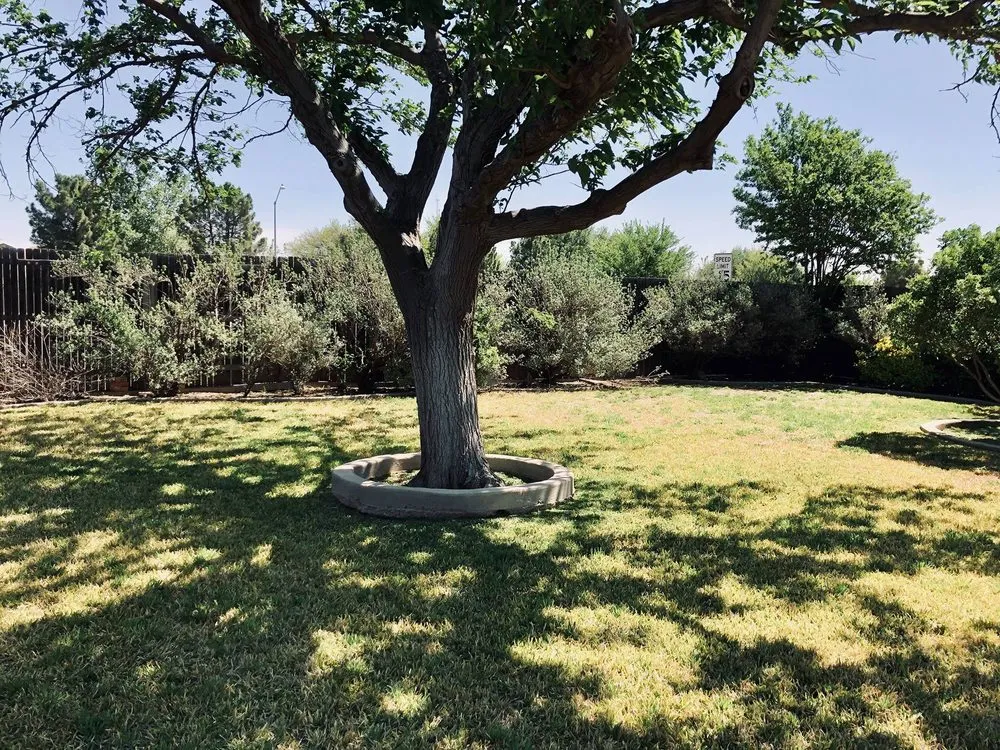 Custom yard cleanup service near you across Zumbrota, MN - Wild Bill's Lawn & Landscape