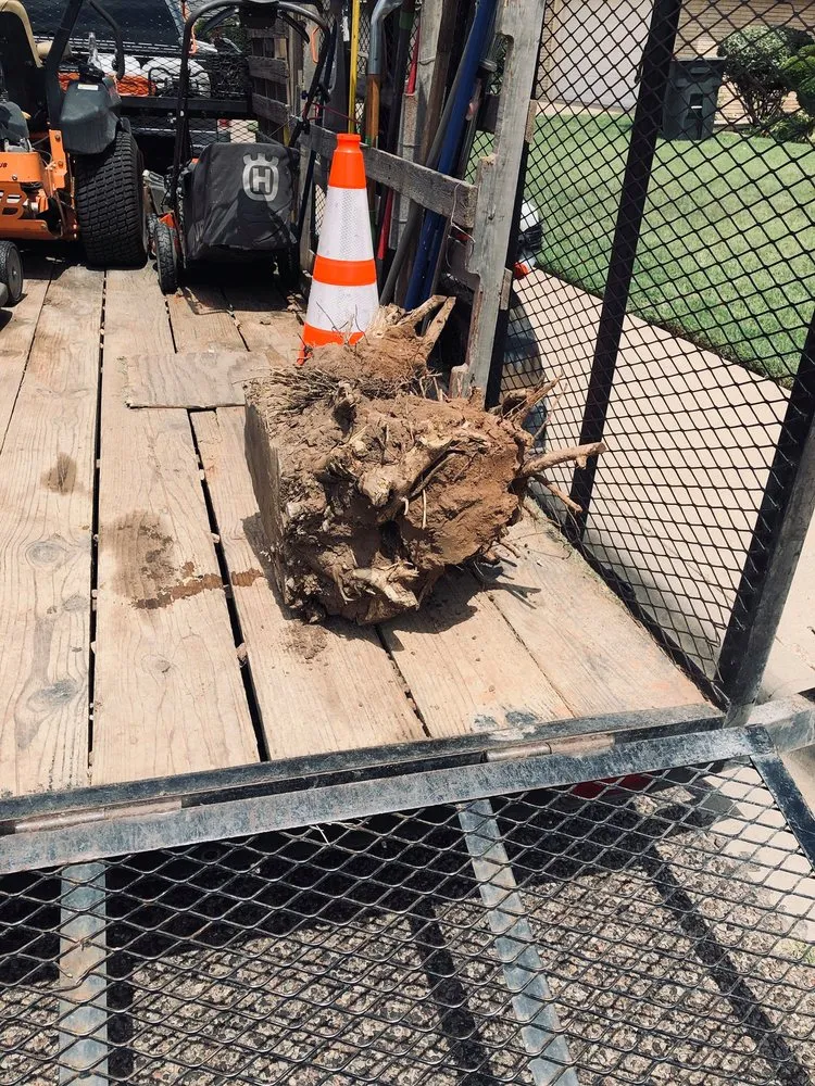 Custom landscaping services for homes in Zumbrota, MN by Wild Bill's Lawn & Landscape