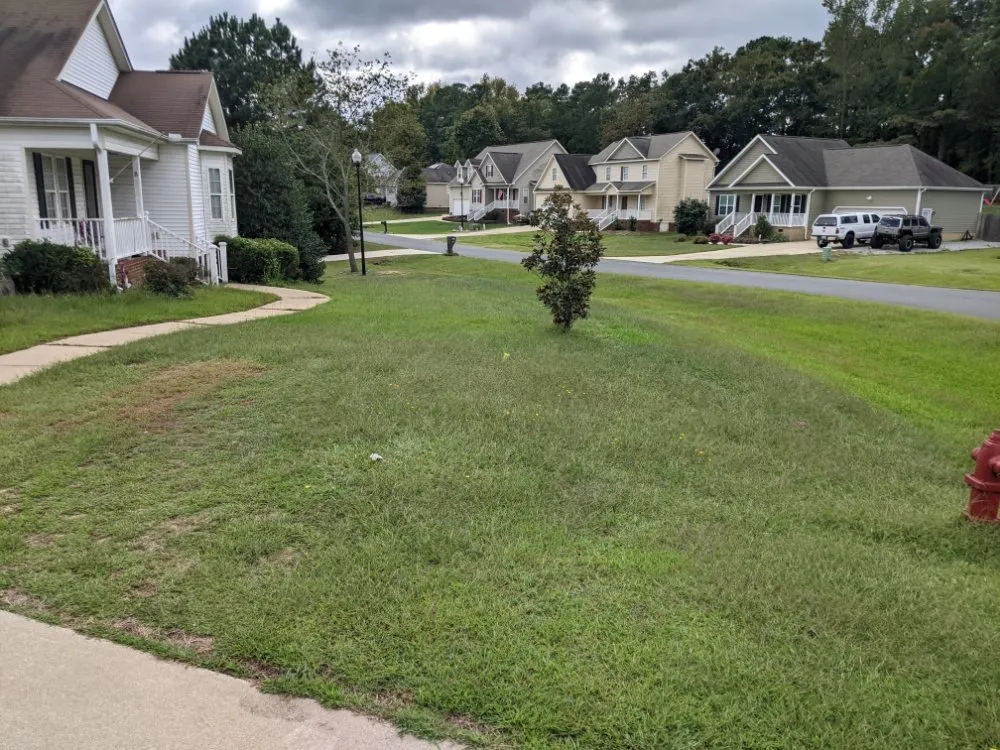 Top-rated lawn mowing service for beautiful yards in Benson, NC by Wild Bills Property Solutions