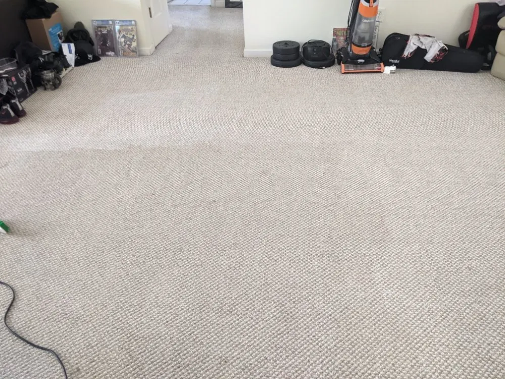 Professional landscaping services in Benson, NC by Wild Bills Property Solutions