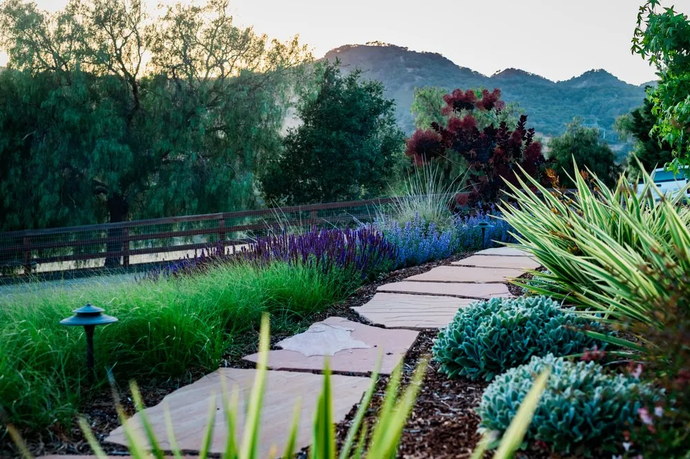 Top-rated residential landscaping experts serving Dana Point, CA - Wild Bloom Landscapes