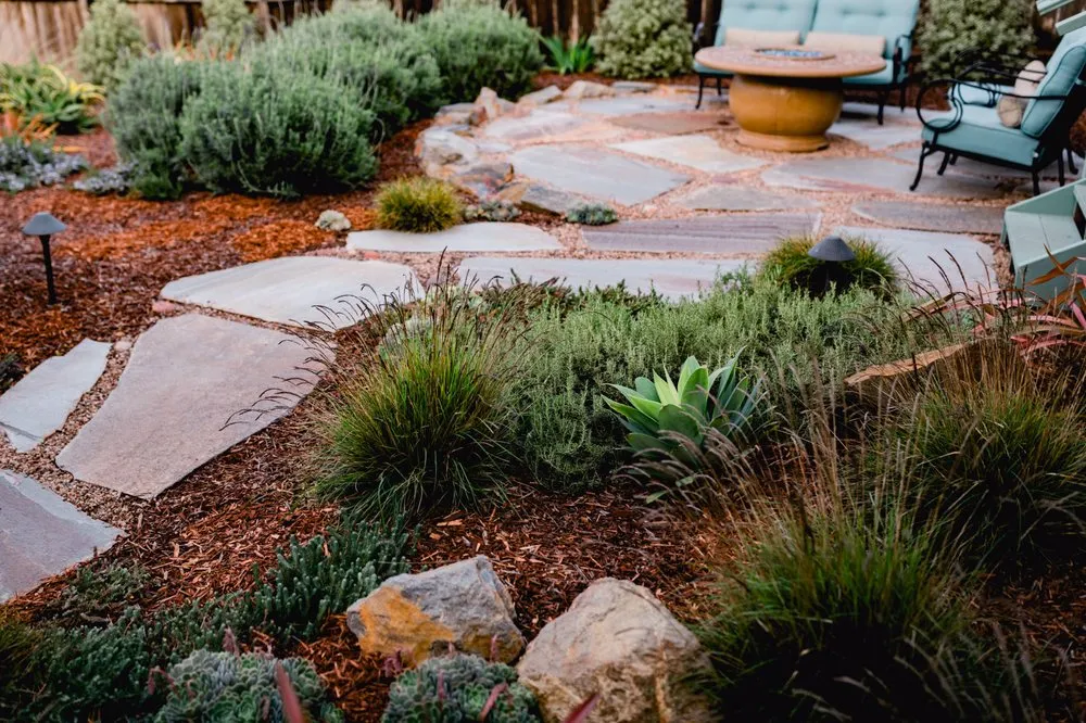 Trusted lawn mowing service in Los Osos, CA by Wild Bloom Landscapes