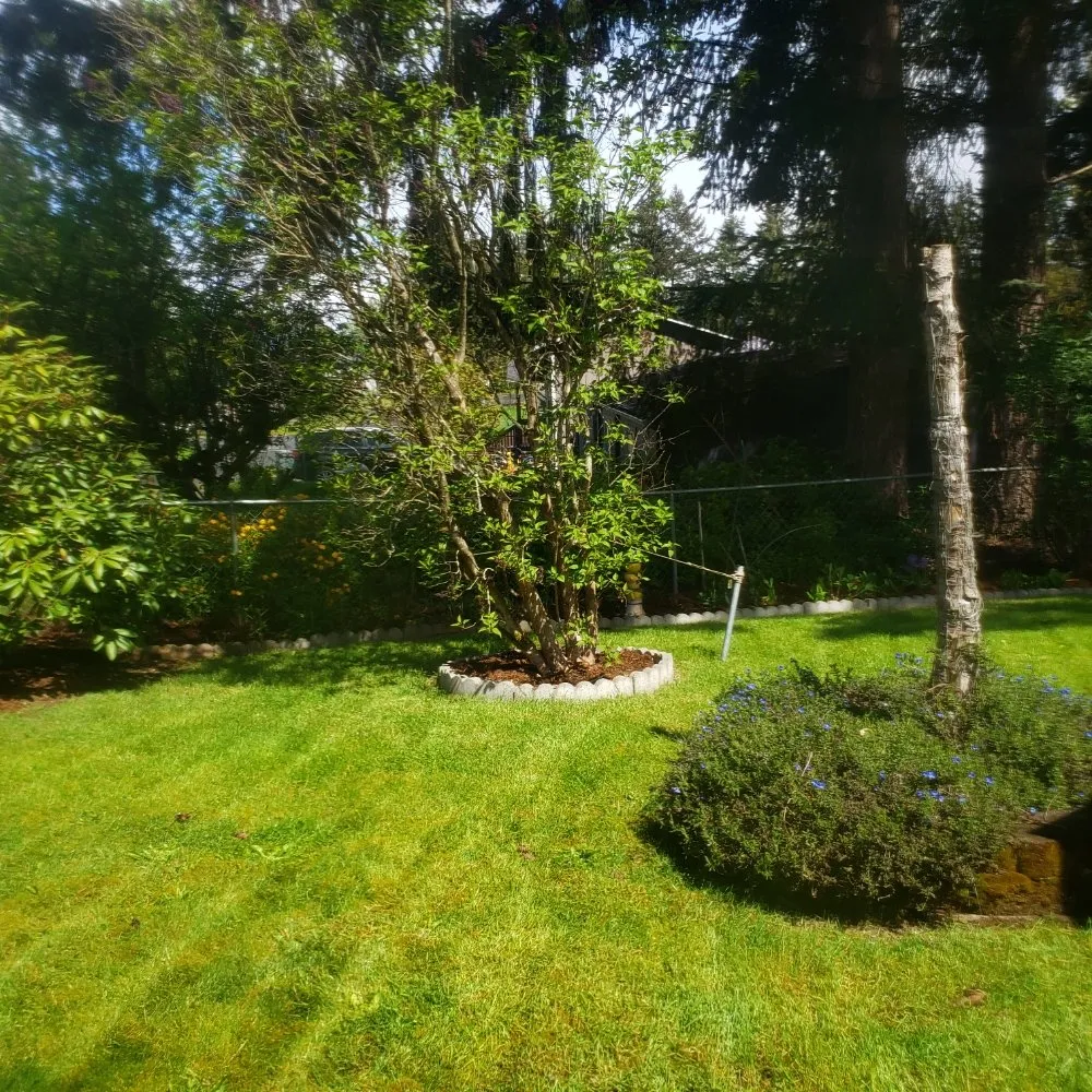 Trusted residential landscaping for outdoor upgrades across Tacoma, WA - Wild Bunch Edible Landscapes and Agricultural Solutions