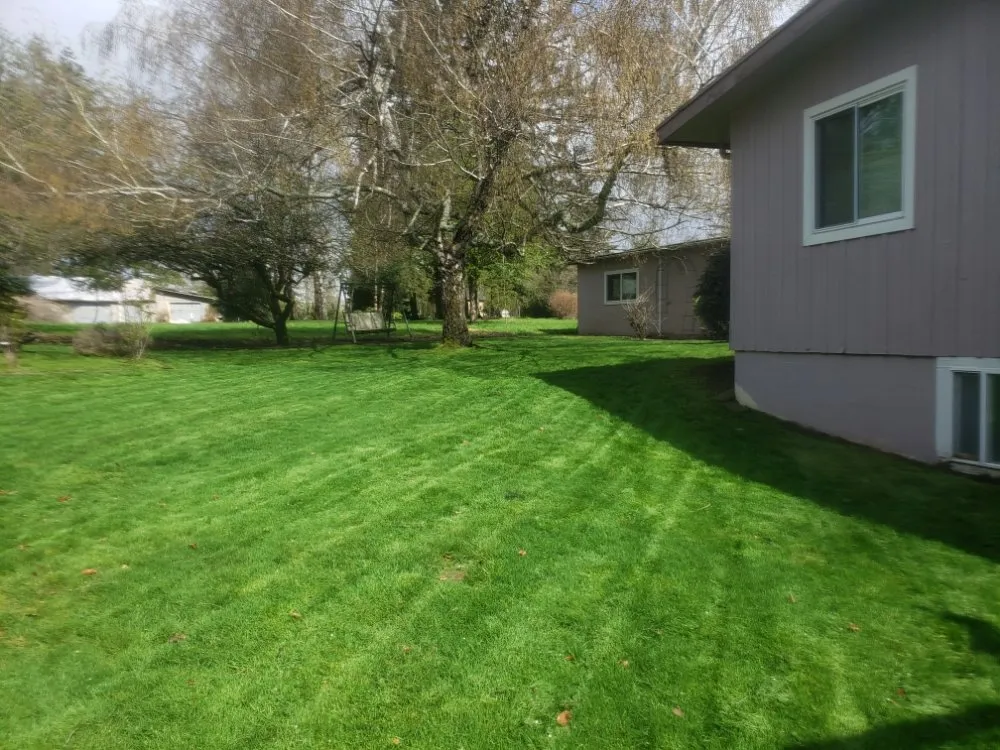 Custom yard maintenance near you in Tacoma, WA by Wild Bunch Edible Landscapes and Agricultural Solutions