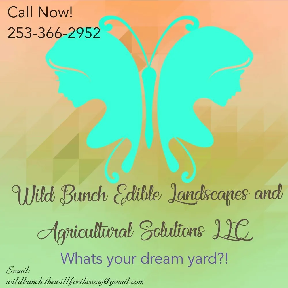 Professional outdoor landscaping in Tacoma, WA by Wild Bunch Edible Landscapes and Agricultural Solutions