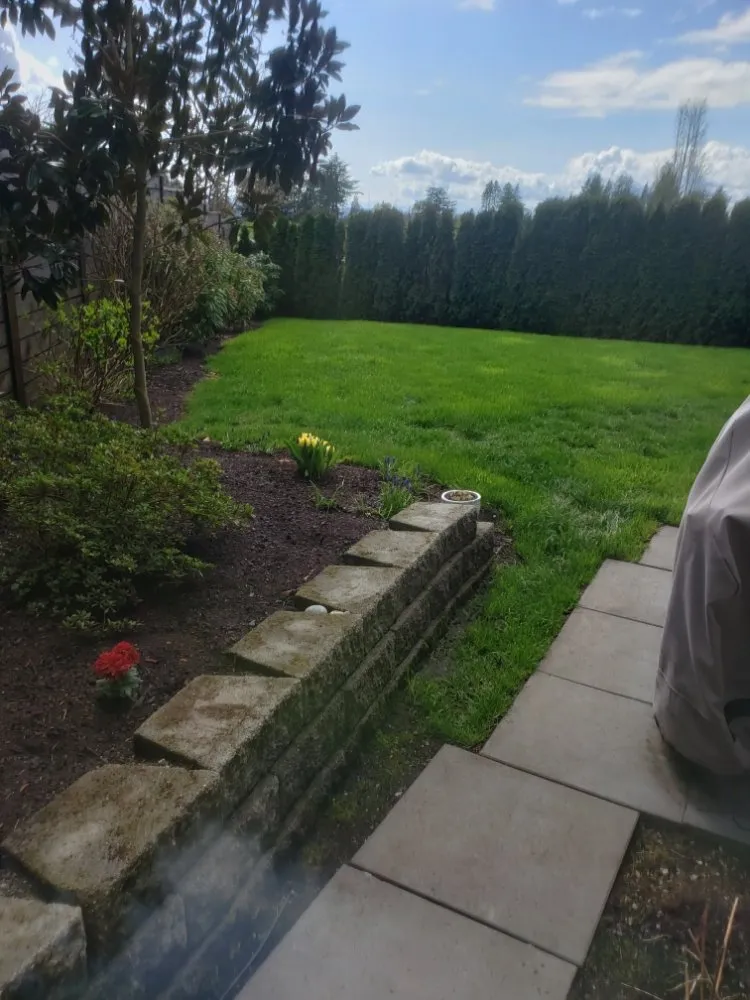 Affordable yard cleanup service for residential properties across Tacoma, WA - Wild Bunch Edible Landscapes and Agricultural Solutions