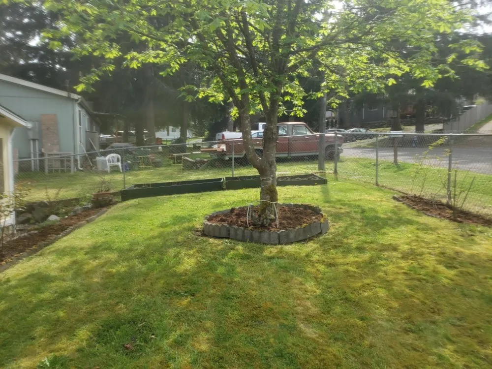 Reliable outdoor landscaping experts serving Tacoma, WA - Wild Bunch Edible Landscapes and Agricultural Solutions