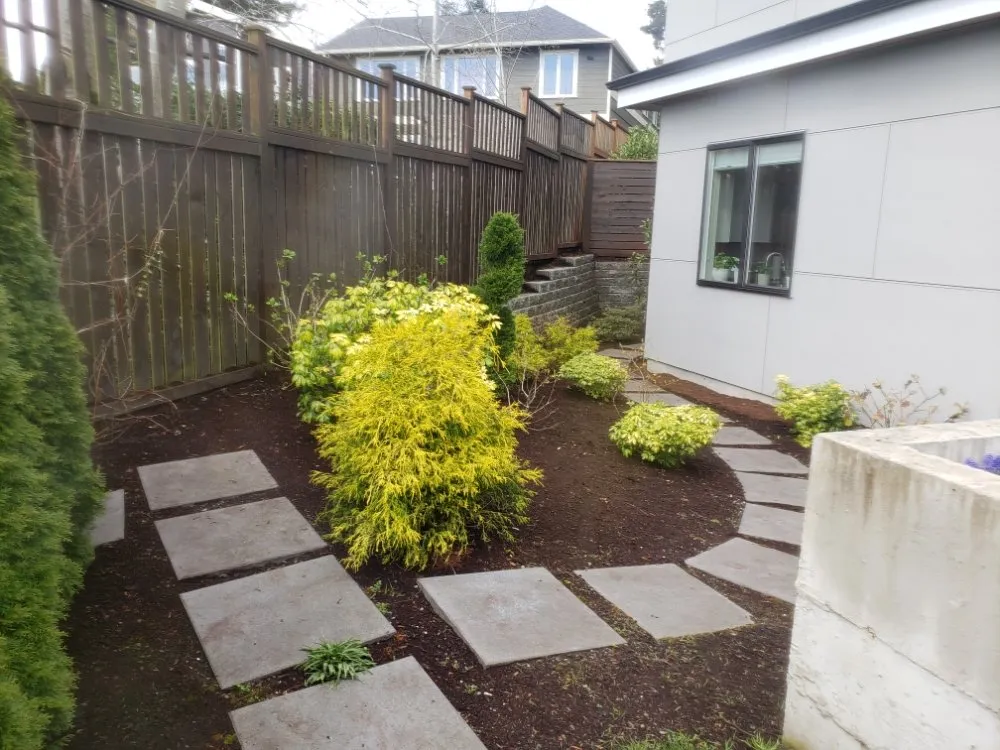 Trusted yard cleanup service near you in Tacoma, WA by Wild Bunch Edible Landscapes and Agricultural Solutions