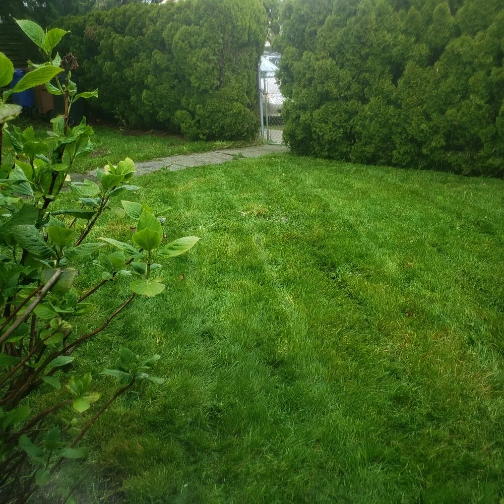 Custom landscaping services in Tacoma, WA by Wild Bunch Edible Landscapes and Agricultural Solutions