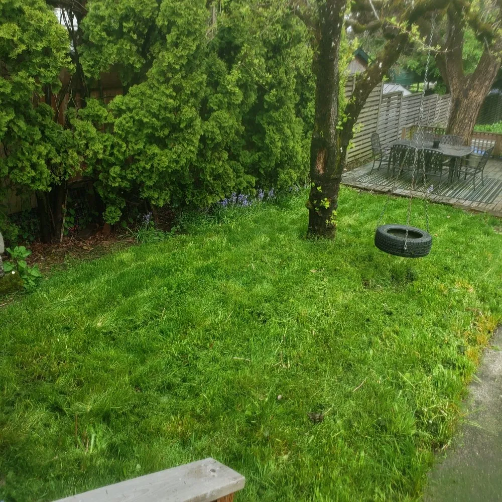 Trusted lawn mowing service in Tacoma, WA - Wild Bunch Edible Landscapes and Agricultural Solutions