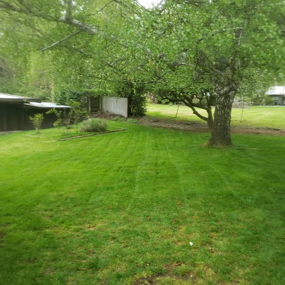 Expert landscaping services for year-round maintenance in Tacoma, WA by Wild Bunch Edible Landscapes and Agricultural Solutions