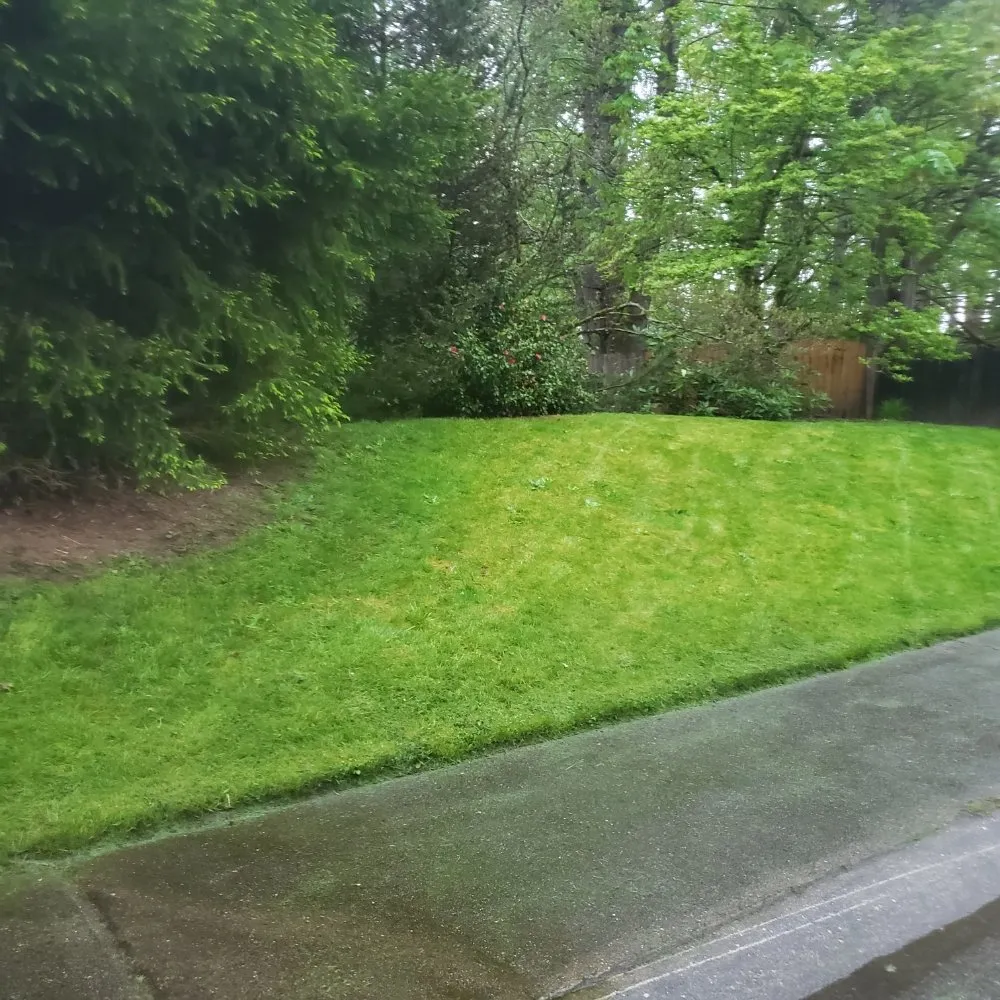 Top-rated yard cleanup service experts serving Tacoma, WA - Wild Bunch Edible Landscapes and Agricultural Solutions