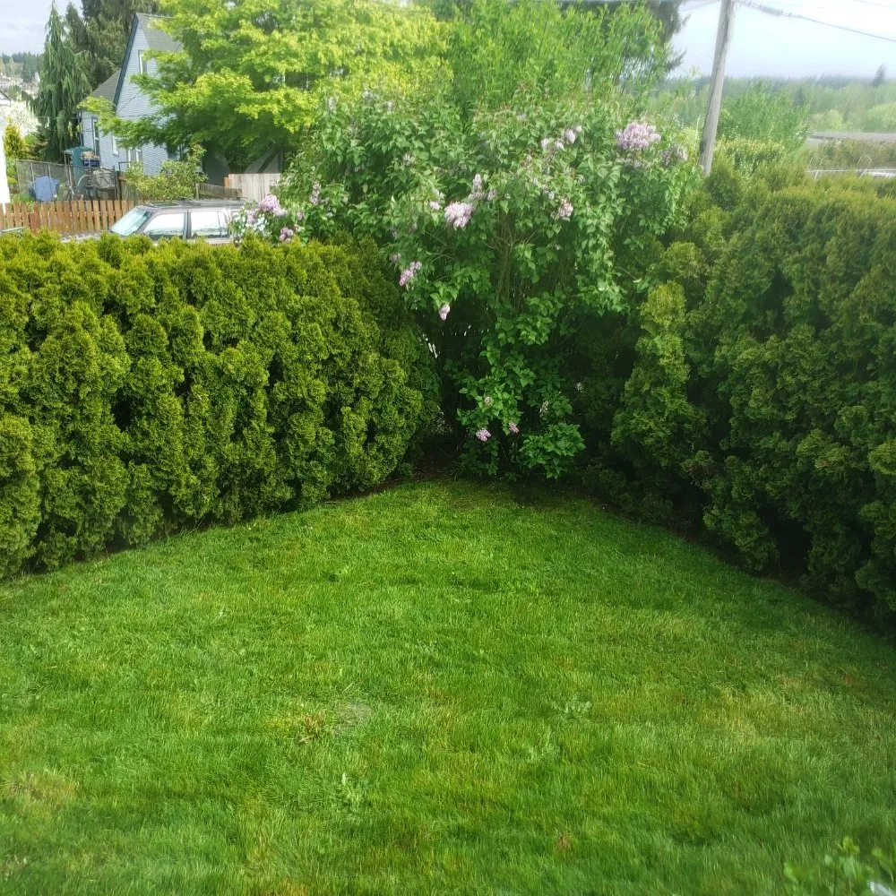 Affordable landscaping services experts serving Tacoma, WA - Wild Bunch Edible Landscapes and Agricultural Solutions