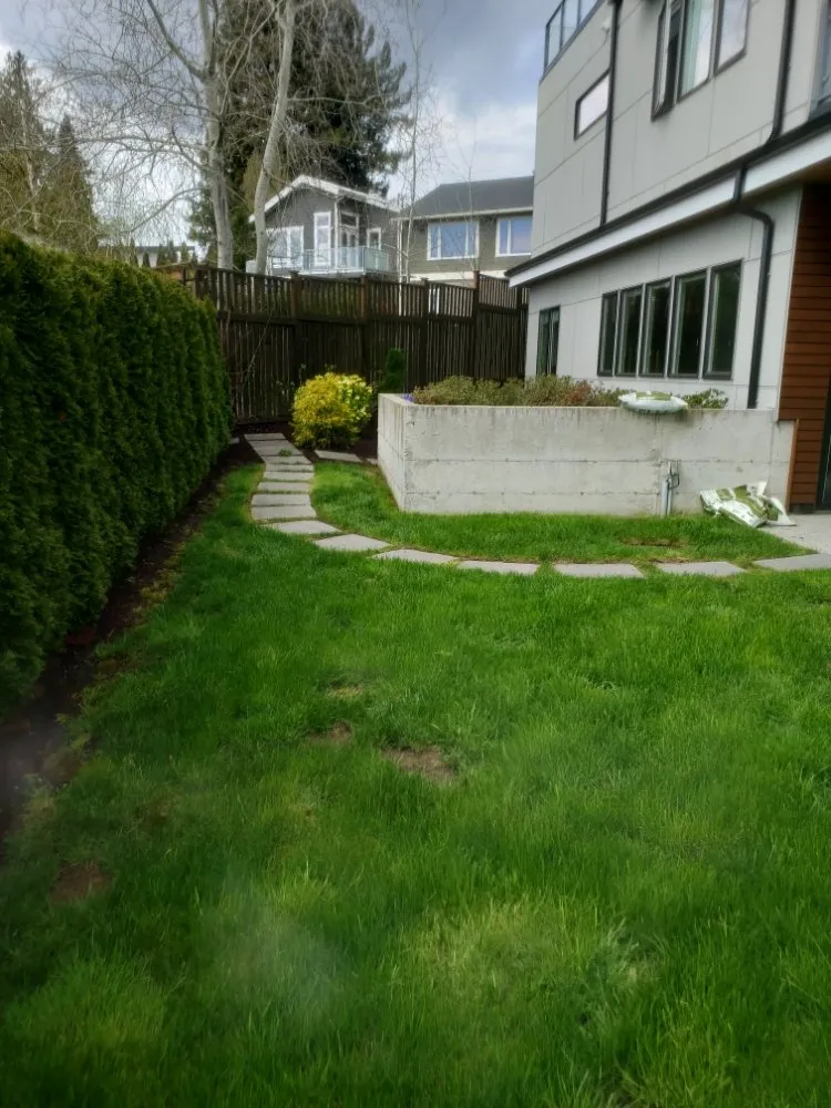 Reliable yard cleanup service in Tacoma, WA - Wild Bunch Edible Landscapes and Agricultural Solutions