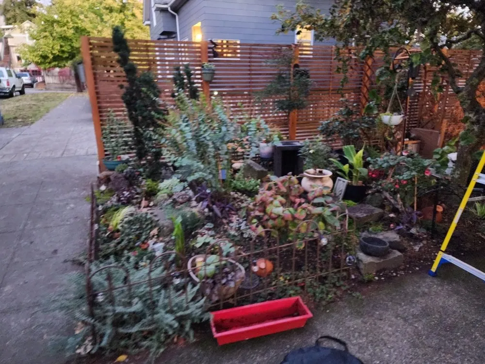 Professional garden landscaping with custom design in Lakewood, WA by Wild Bunch Edible Landscapes