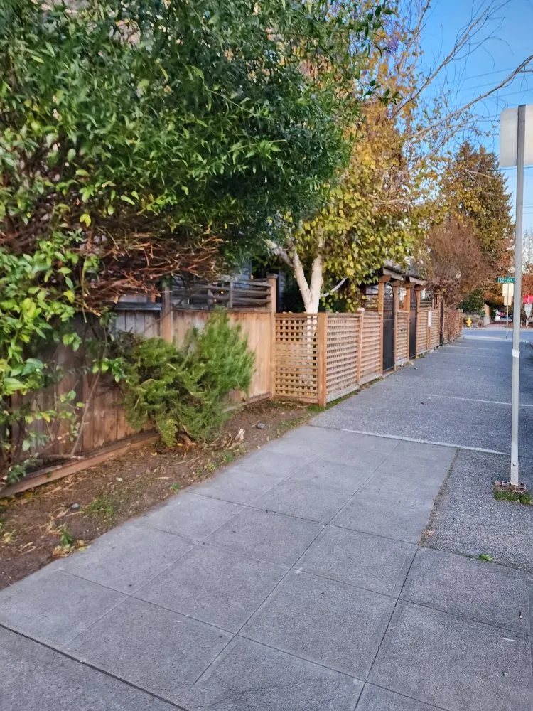 Affordable landscape installation in Lakewood, WA by Wild Bunch Edible Landscapes