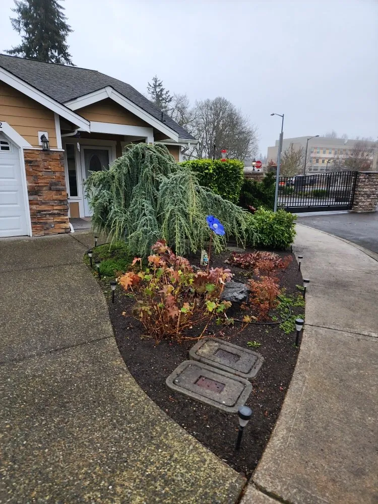 Affordable garden landscaping for beautiful yards across Lakewood, WA - Wild Bunch Edible Landscapes