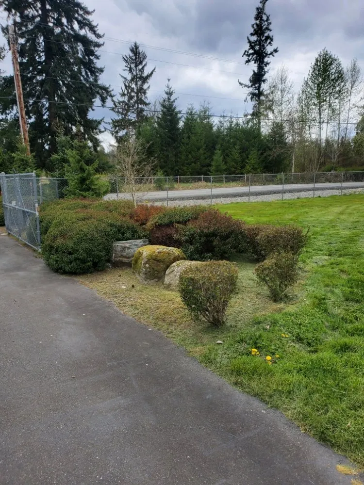 Local outdoor landscaping in Lakewood, WA by Wild Bunch Edible Landscapes