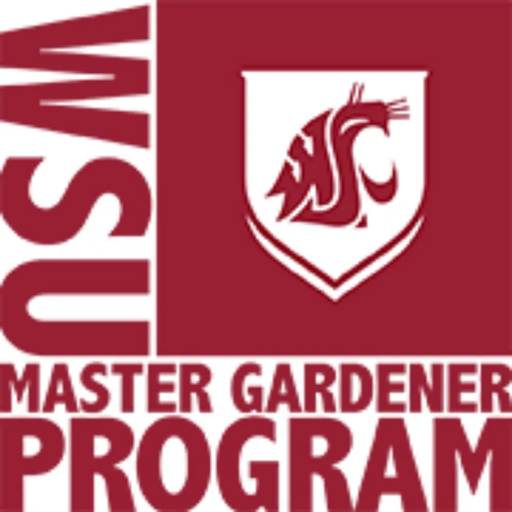 Affordable landscape design in Lakewood, WA by Wild Bunch Edible Landscapes