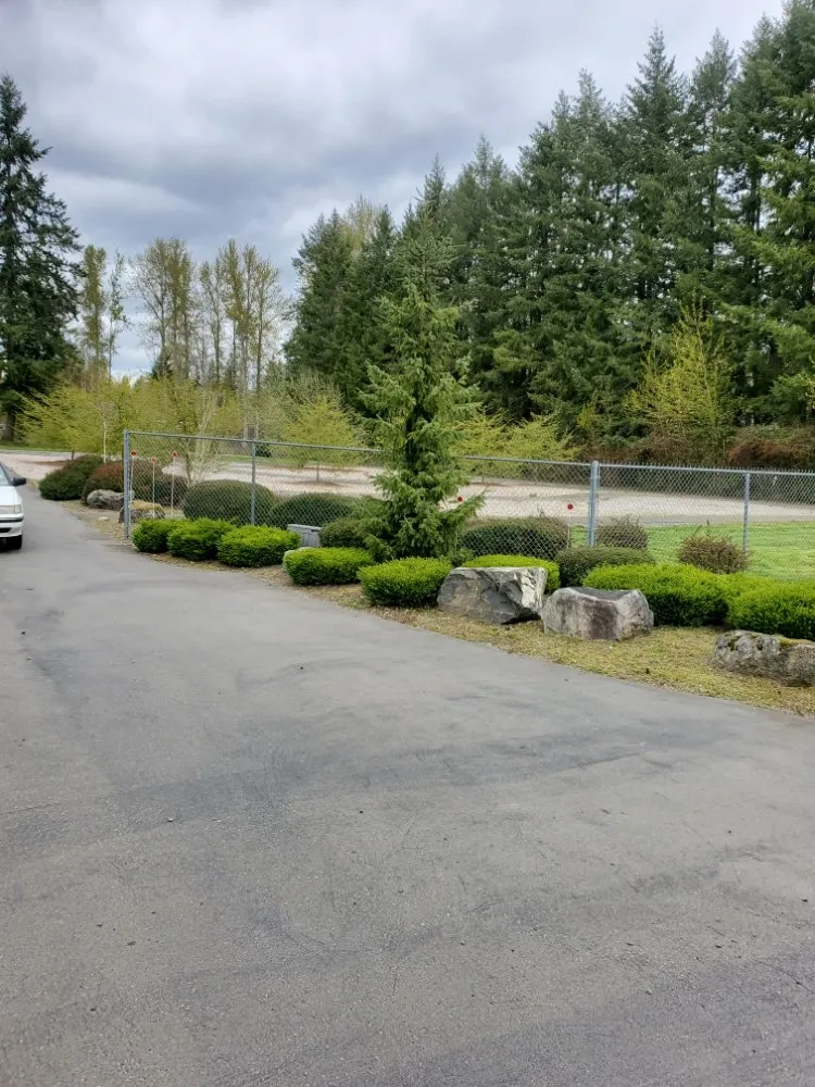 Custom landscape installation for residential properties across Lakewood, WA - Wild Bunch Edible Landscapes