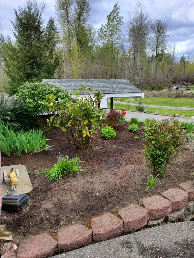 Trusted lawn mowing service in Lakewood, WA - Wild Bunch Edible Landscapes