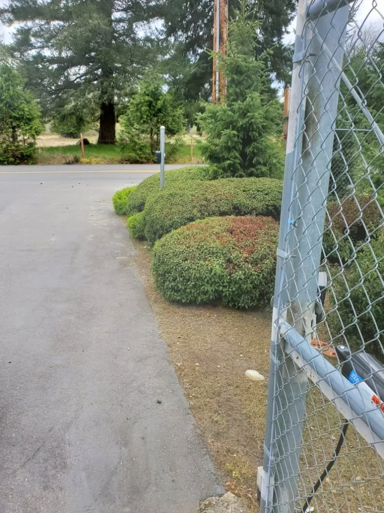 Trusted lawn mowing service in Lakewood, WA by Wild Bunch Edible Landscapes