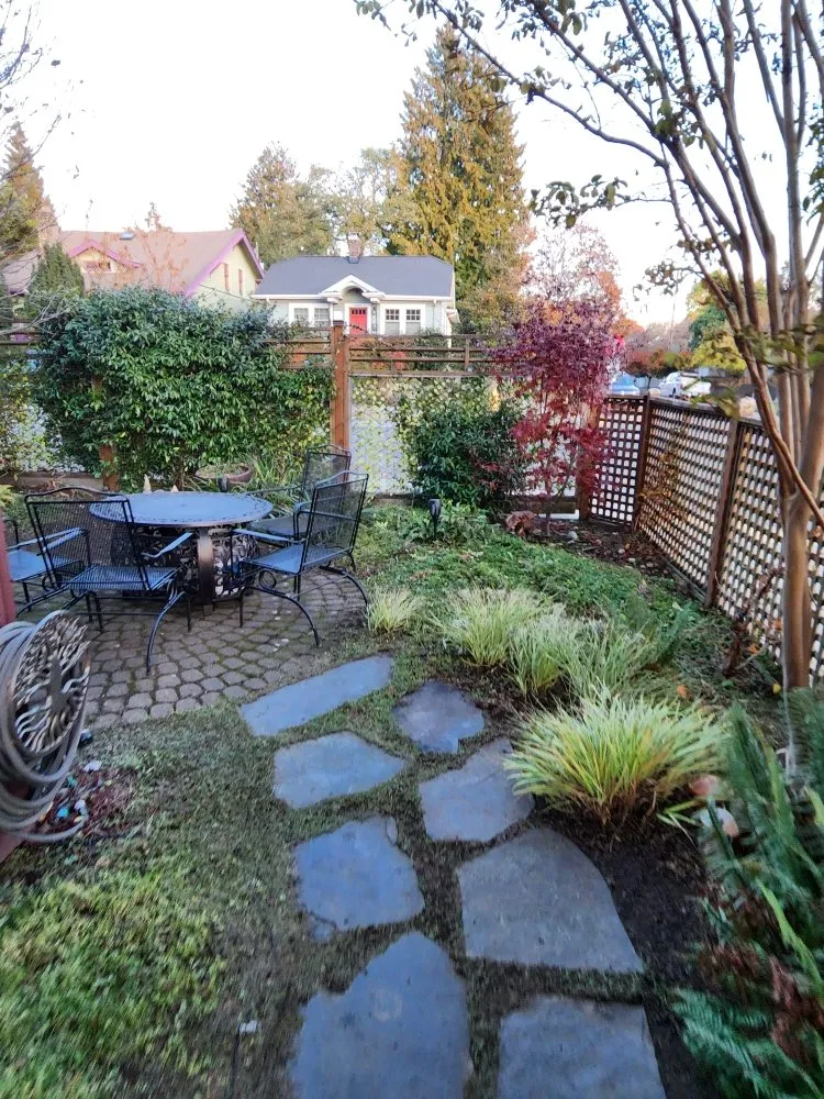 Trusted yard cleanup service experts serving Lakewood, WA - Wild Bunch Edible Landscapes