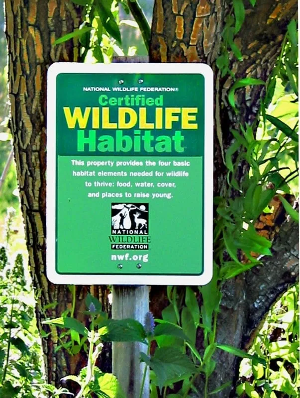 Reliable landscaping services for year-round maintenance in Lyons, CO by Wild by Design