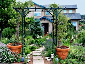 Professional landscaping services near you in Lyons, CO by Wild by Design