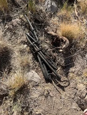 Wild Desert Landscaping Logo