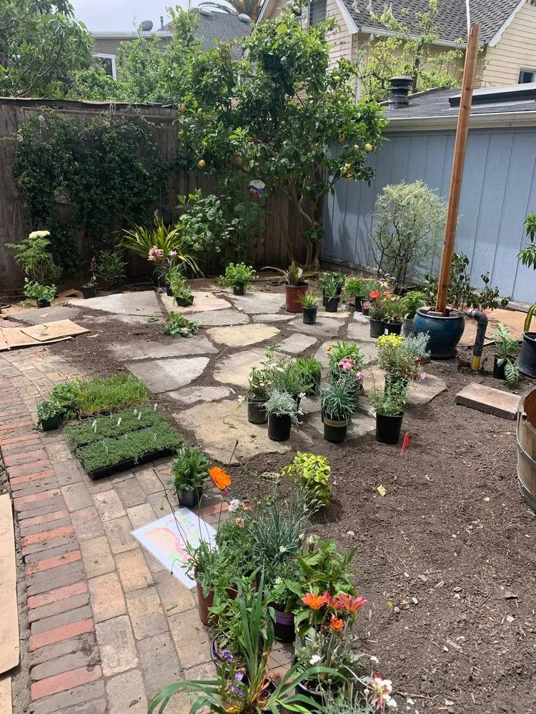 Trusted lawn mowing service for homes in San Francisco, CA by Wild Earth Art
