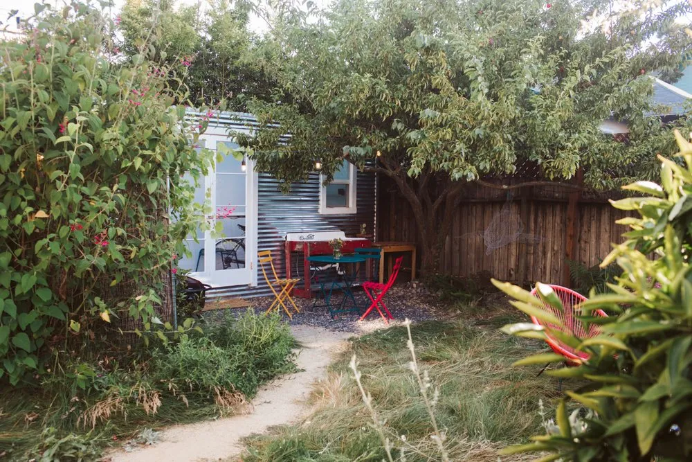 Professional yard cleanup service for beautiful yards across San Francisco, CA - Wild Earth Art